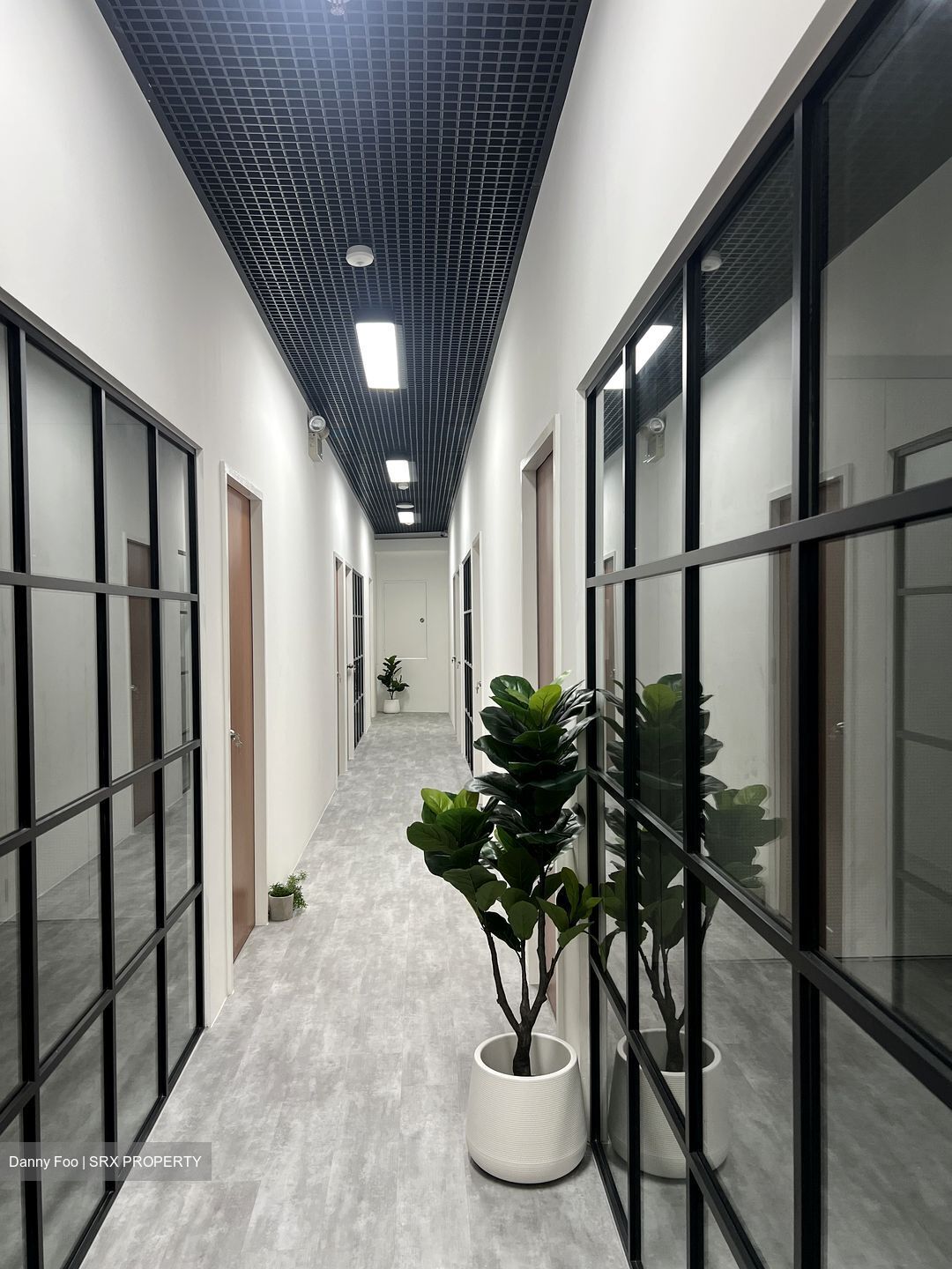 Oxley Bizhub (D14), Factory #585590171